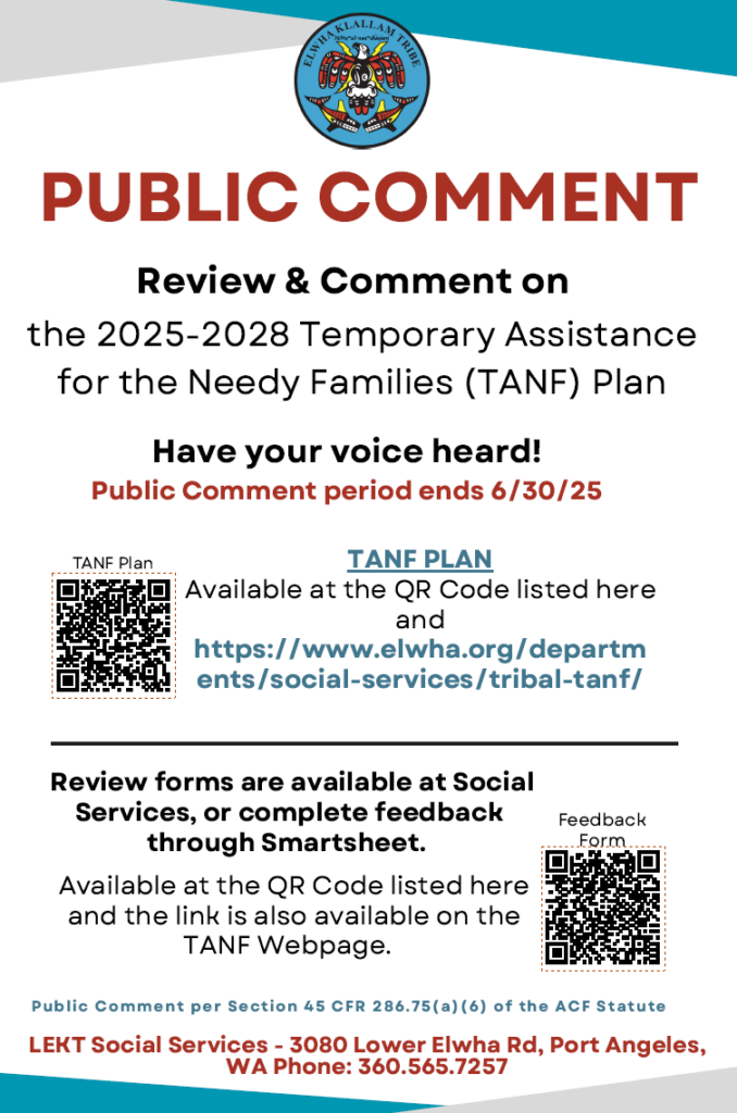 TANF FY25 Public Comment